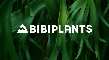 BIBIPLANTS